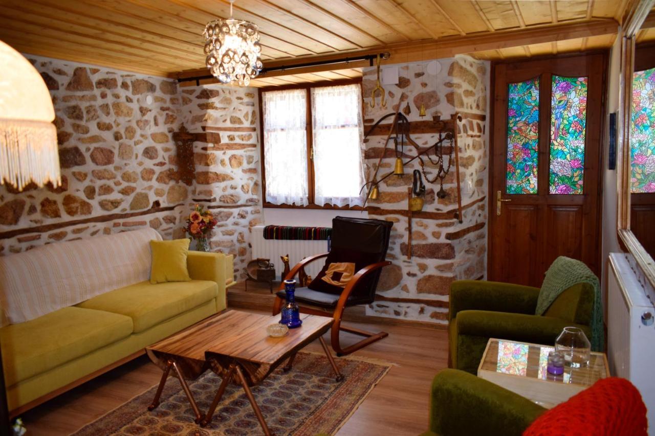 Villa Renovated Old Manor House With Yard Arnea Exterior foto